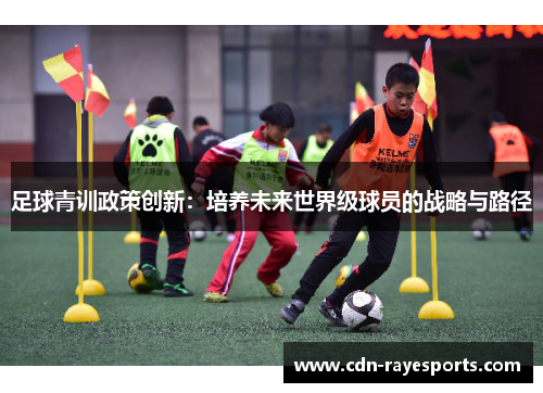 足球青训政策创新：培养未来世界级球员的战略与路径
